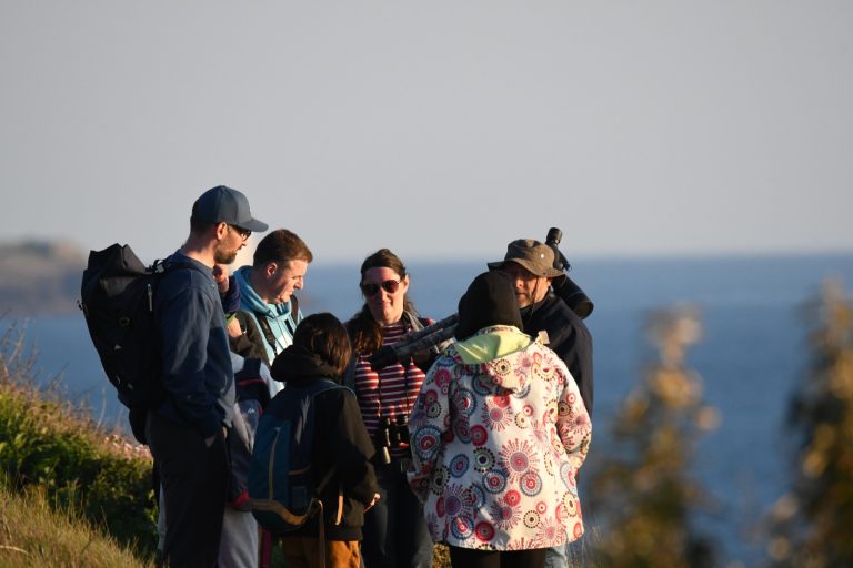 Les activités dans le Finistère : Iroise Sauvage